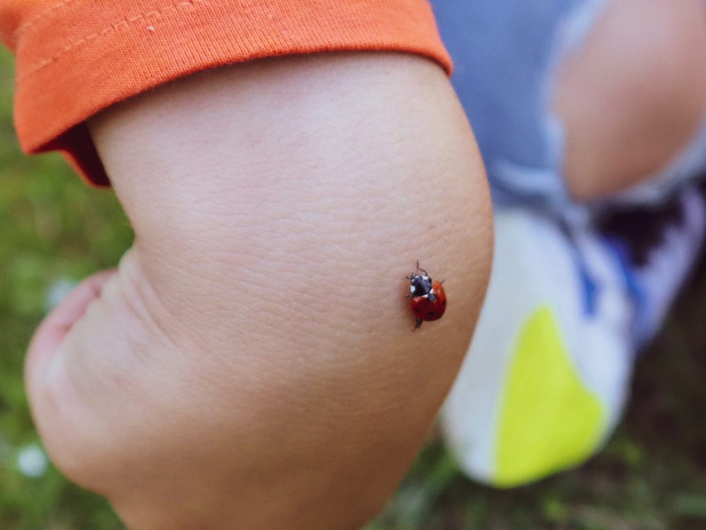 bug on child's hand