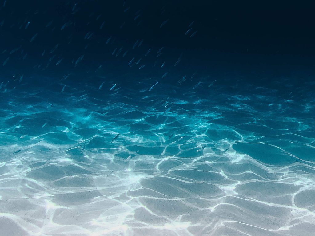 ocean floor photo