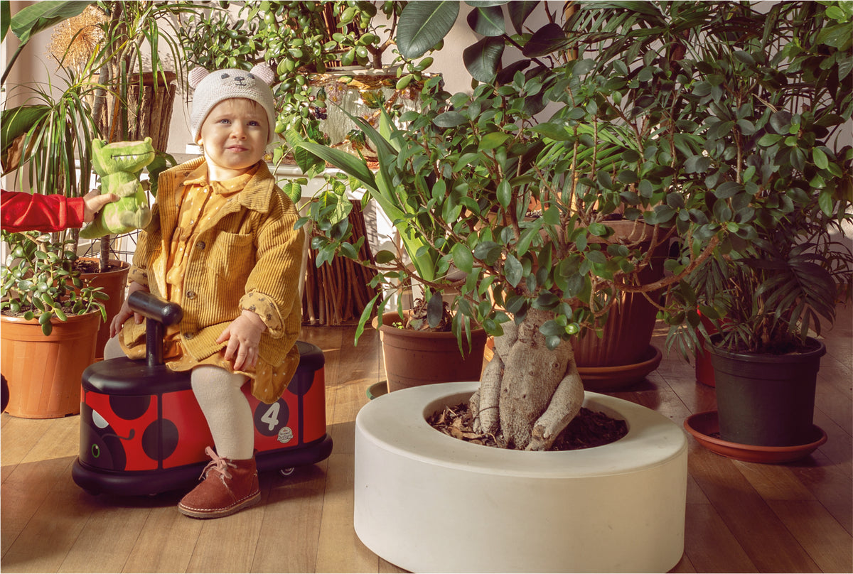 Italtrike Lady Bug Ride-On | Indoor Toddler Toy – Plum Play AU